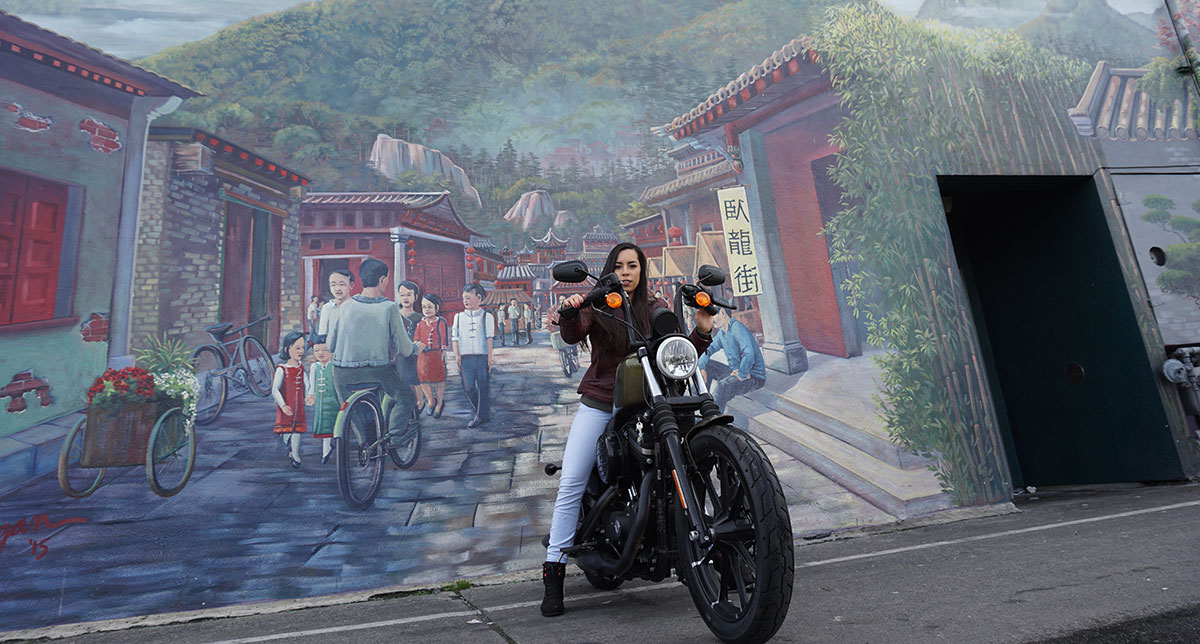 2017 Harley Davidson Iron 883 Review